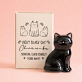 Glossy black ceramic lucky cat token with pink nose beside its Lucky Black Cat gift box on a soft pink background.